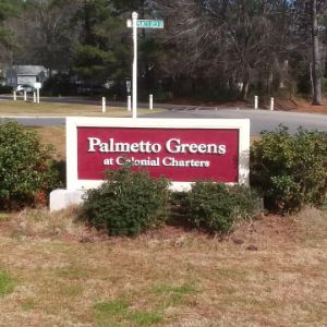 Palmetto Greens